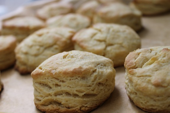 Maple-Polenta Southern Biscuits & Biscuits & Cuddling (Vegan Option, too!)